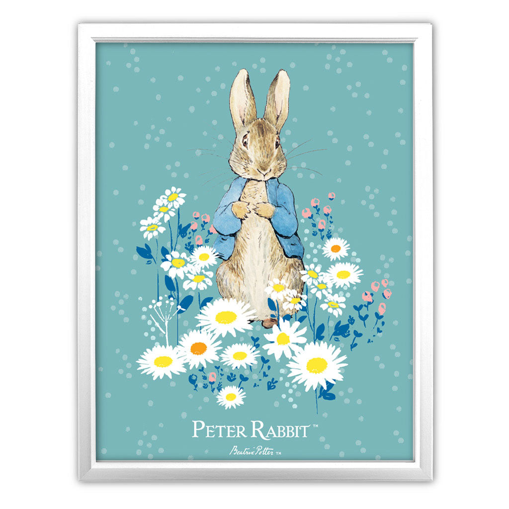 Peter in Daisies Art Print
