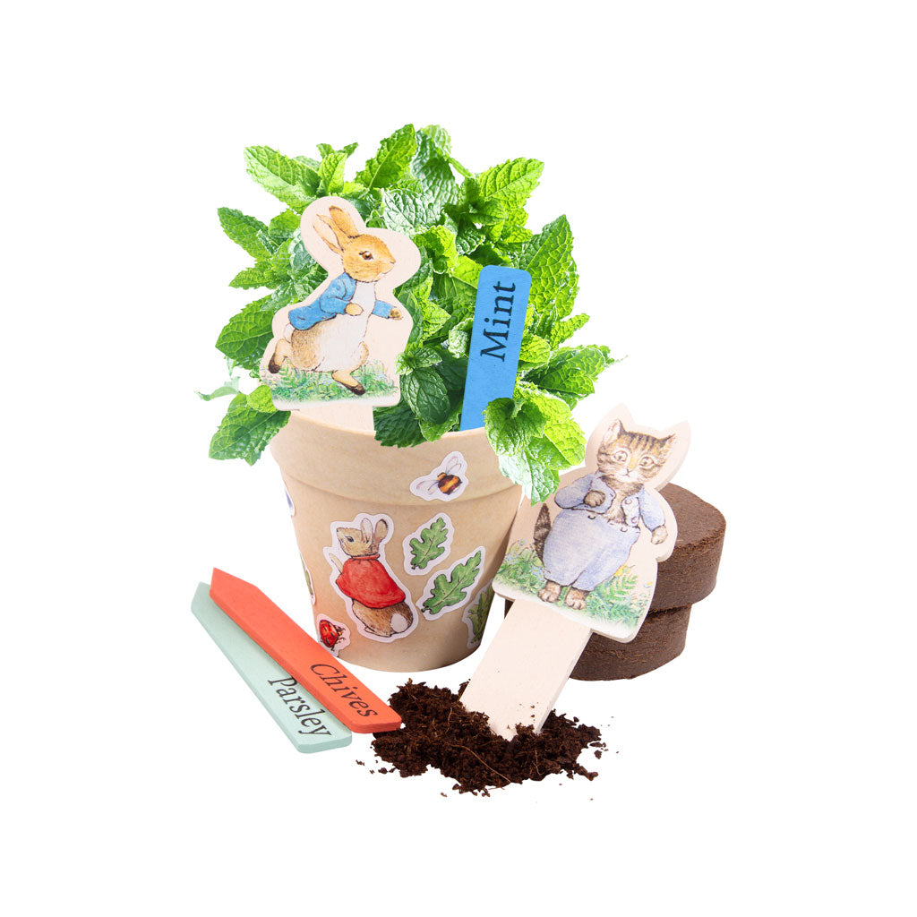 Peter Rabbit Grow Your Own Herbs Kits
