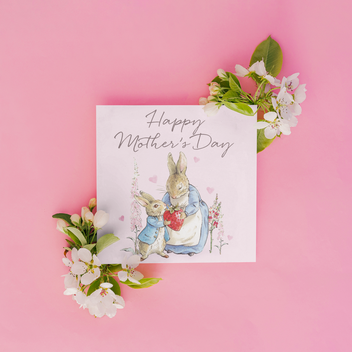 Peter Rabbit Amex Card Peter Rabbit Mother's Day card – Peter Rabbit Shop